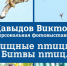 В Прокопьевске готовится к открытию фотовыставка "Хищные птицы. Битвы птиц" - Prokopievsk.ru