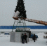 В Прокопьевске устанавливают главную городскую елку - Prokopievsk.ru