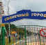 Прокопчанку возмутило поведение взрослых горожан на территории СРЦ "Солнечный" - Prokopievsk.ru