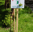 DSC00335.jpg - Драмтеатр