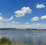 Какие водоемы Прокопьевска непригодны для купания - Prokopievsk.ru