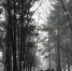 WhatsApp Image 2020 12 15 at 09.45.52 - Администрация г. Прокопьевск
