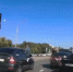 В Кузбассе участники свадебного кортежа привлечены к ответственности за нарушения ПДД - Prokopievsk.ru