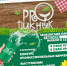 Озвучена программа гастрономического фестиваля «ProПикник» - Prokopievsk.ru