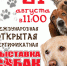 Выставка собак в Прокопьевске соберёт профессиональных заводчиков и простых зрителей - Prokopievsk.ru