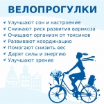 veloprogul