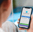 Учителям запретили использовать WhatsApp и Telegram. Почему? - Prokopievsk.ru