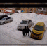 В Прокопьевске установили личности школьников, которые повредили автомобили - Prokopievsk.ru