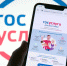 Узнать о соцвыплатах помогут госуслуги - ТРК 27 плюс