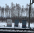 В Кузбассе пресечена попытка диверсии на ж/д объектах - Prokopievsk.ru