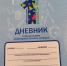 Первоклассникам Кузбасса перестали выдавать школьные дневники - Prokopievsk.ru