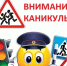 «БЕЗОПАСНЫЕ КАНИКУЛЫ» - Прокопьевский муниципальный округ