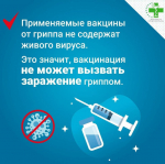 Вакцинопрофилактика гриппа — первоочередное правило сохранения здоровья в осенне-зимний период