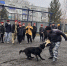 Юнармейцы Прокопьевска Кемеровской области познакомились с особенностями работы полицейских патрульно-постовой службы и кинологов - ТРК 27 плюс