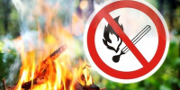 Противопожарный сезон не за горами - ТРК 27 плюс