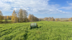 В воскресенье в Кузбассе уже пасмурно, но по-прежнему жарко
